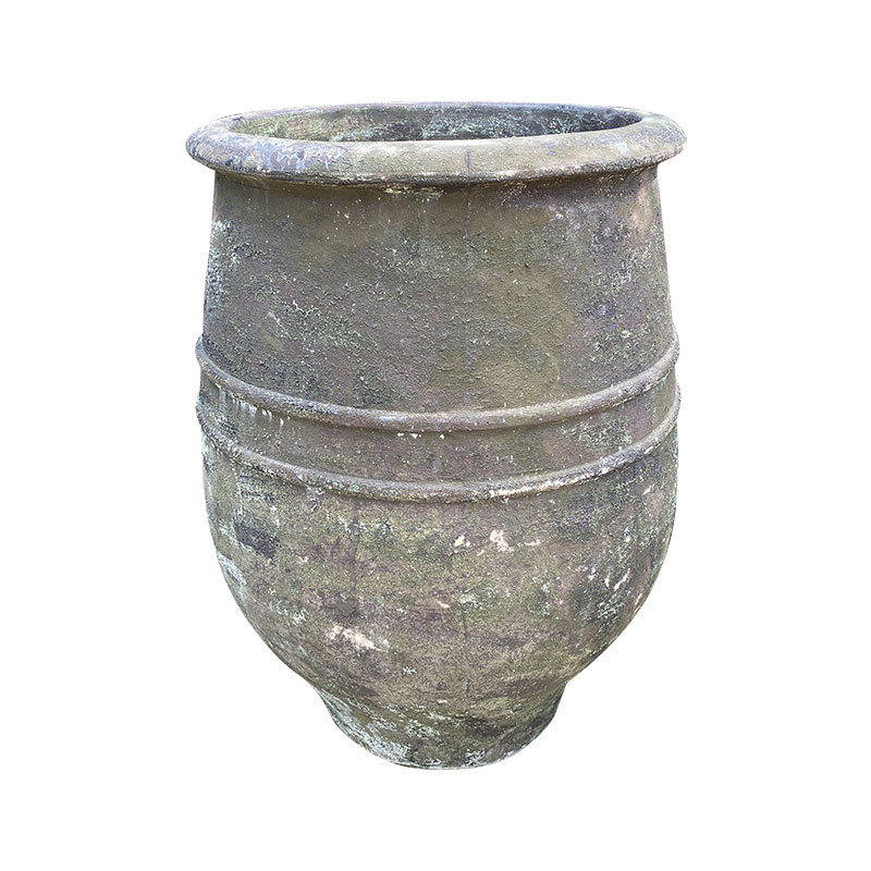 Wax Xanh Rêu